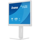 iiyama B1980S-W1, Monitor LED bianco (matto)