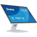 iiyama T2452MSC-W1AG, Monitor LED bianco (matto)