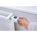 Bosch 8750002330, Riscaldamento termostato bianco