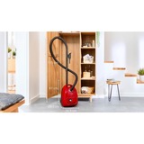 Bosch BGD38RD1H, Aspirapolvere rosso