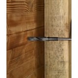 Bosch Punta PRO Wood HSS per casseforme e installazioni, SDS-plus, Ø 20mm, Trapano 