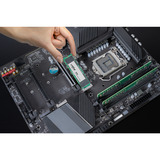 Crucial CT1000E100SSD8, Disco a stato solido 