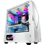 Enermax Aquafusion ADV 240mm, Raffreddamento ad acqua bianco