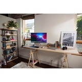HP 527sa (HSD-0175-K), Monitor LED bianco/Argento