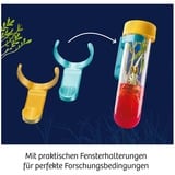 KOSMOS 45496822 giocattolo e kit di scienza per bambini, Casella di esperimento Kit per esperimenti, Botanica, 8 anno/i