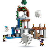LEGO 21597, Giochi di costruzione 