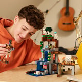 LEGO 21597, Giochi di costruzione 