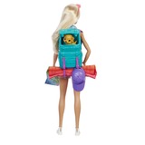 Mattel Dreamhouse Adventures HDF73 bambola Bambola alla moda, Femmina, 3 anno/i, Ragazza, 298 mm, Multicolore