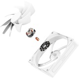 NZXT F120Q, Ventola bianco