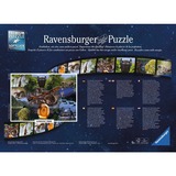 Ravensburger 17147 puzzle 1000 pz Televisione/film 1000 pz, Televisione/film, 12 anno/i