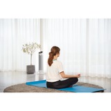 Rowenta Silent Comfort 3-in-1 HQ8120F0 stufetta elettrica Interno Argento 2400 W Riscaldatore ambiente elettrico con ventilatore, Termoventilatore bianco, Riscaldatore ambiente elettrico con ventilatore, Cina, 1,9 m, IP20, Interno, Pavimento