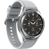SAMSUNG Smartwatch argento