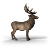 Schleich Wild Life Cervo Rosso Americano, Gioco figura 