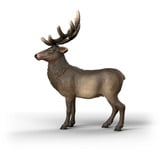 Schleich Wild Life Cervo Rosso Americano, Gioco figura 