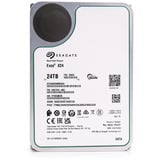 Seagate Exos X24 24 TB ricondizionato, Hard-disk 