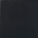 Thermal Grizzly Minus Pad Advance - 100x100x0,5 mm, Pastiglie termiche 