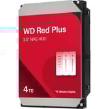 WD Red Plus disco rigido NAS 4 TB, Hard-disk 
