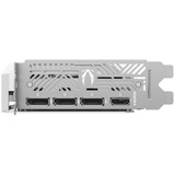 ZOTAC ZT-B50620Q-10M, Scheda grafica 
