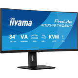 iiyama XCB3497WQSNP-B1, Monitor LED Nero (opaco)