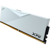 ADATA AX5U6000C3032G-DCLAWH bianco