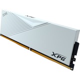 ADATA AX5U6000C3032G-DCLAWH, Memoria bianco