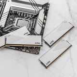 ADATA LANCER memoria 64 GB 2 x 32 GB DDR5 Data Integrity Check (verifica integrità dati) bianco, 64 GB, 2 x 32 GB, DDR5, 6000 MHz, 288-pin DIMM, Bianco