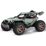 Carrera 370200004, RC 