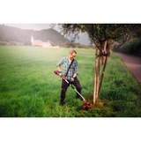 EINHELL GE-CT 36/30 Li E-Solo Batteria Nero, Grigio, Rosso rosso/Nero, Tagliabordi, 2 mm, 0,8 m, 9000 Giri/min, Nero, Grigio, Rosso, 30 cm