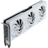 Palit GeForce RTX 5070 OC WHITE, Scheda grafica 