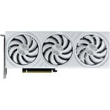 Palit GeForce RTX 5070 OC WHITE, Scheda grafica 