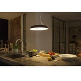 Philips Hue White Ambiance Amaze Lampada a sospensione, Luce LED Nero