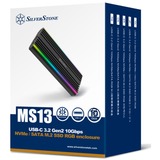 SilverStone MS13, Disk enclosure Nero