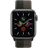 Apple Smartwatch grigio/marrone scuro