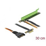 DeLOCK 85762 scheda di interfaccia e adattatore Interno PCIe PCIe, PCIe, Nero, Verde, 0,3 m, 1 pz