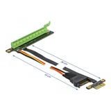DeLOCK 85762 scheda di interfaccia e adattatore Interno PCIe PCIe, PCIe, Nero, Verde, 0,3 m, 1 pz