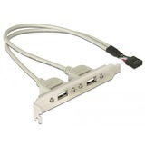 DeLOCK Slotbracket 1x internal USB 5pin > 2x USB2.0 external cavo USB 0,3 m USB A Bianco grigio, 0,3 m, USB A, Bianco