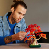 LEGO 10348, Giochi di costruzione 