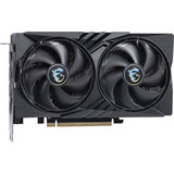 MSI V538-001R, Scheda grafica 