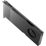 PNY NVIDIA RTX PRO 4000 Blackwell 24GB PB, Scheda grafica Vendita al dettaglio