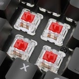 Sharkoon SKILLER SGK36W, Tastiera da gioco Nero
