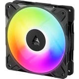 ARCTIC Freezer P12 Pro Reverse A-RGB - 3 Pack Case per computer Ventilatore 12 cm Nero 3 pz, Ventola Nero, Ventilatore, 12 cm, 124 m³/h, Nero