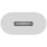 Apple Adattatore USB, connettore USB-C > presa Lightning bianco