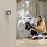 EcoFlow 605571, Presa grigio
