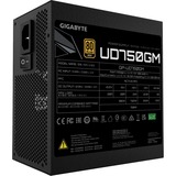 GIGABYTE GP-UD750GM 750W Nero