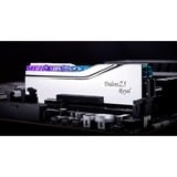 G.Skill F5-8400J4052G24GX2-TR5S, Memoria argento