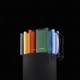Intenso Powerbank F10000 Verde verde