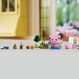 LEGO 21268, Giochi di costruzione 