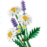 LEGO Botanicals Margherita, Giochi di costruzione 