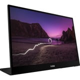 Lenovo M16(A25160WX0), Monitor LED Nero