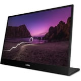 Lenovo M16(A25160WX0), Monitor LED Nero